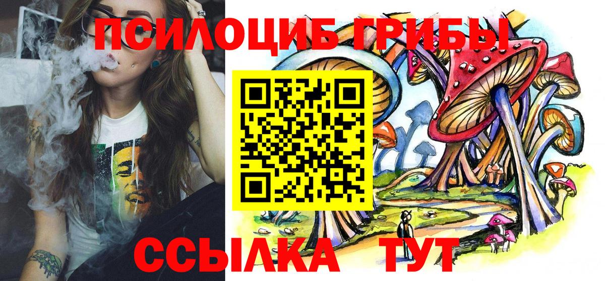 Псилоцибиновые грибы Cubensis Котлас