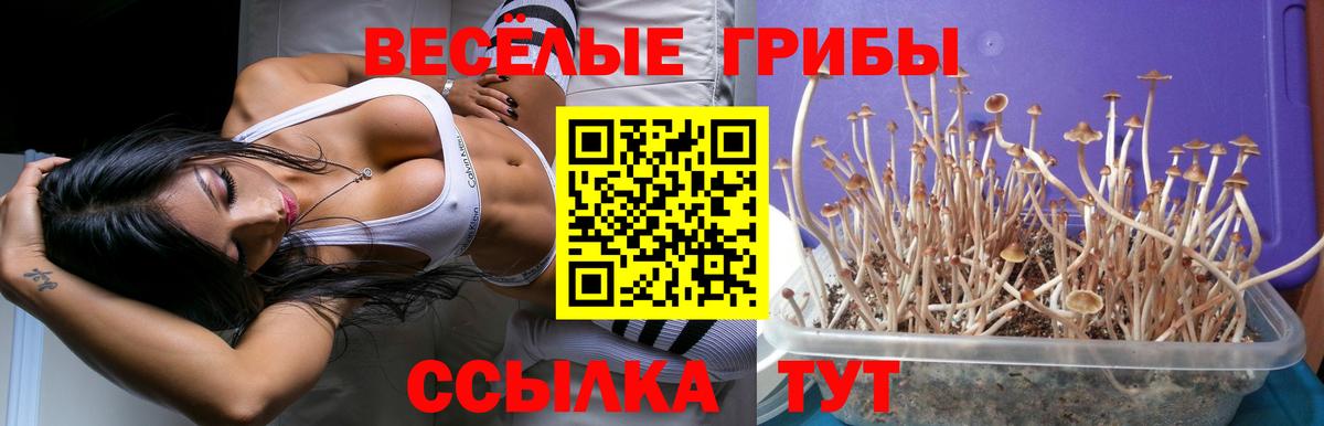 Псилоцибиновые грибы мицелий  Галлюциногенные грибы Cubensis  Вход с VPN  Котлас 